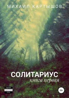 Михаил Картышов - Солитариус. Книга первая