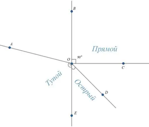 Углы бывают четырех видов Углы на пересекающихся прямых Углы которые - фото 11