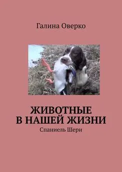 Галина Оверко - Животные в нашей жизни. Спаниель Шери