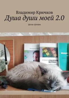 Владимир Крючков - Душа души моей 2.0. флэш-фэкшн