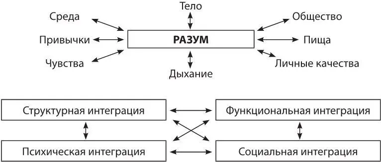 Чтобы вы могли достичь состояния интеграции ваш путь должен быть - фото 2