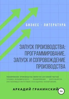 Аркадий Гранинский - Запуск производства: Программирование, запуск и сопровождение производства