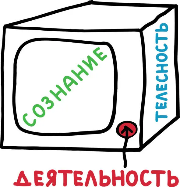 Идею о том что активность определяет телесность высказал наш соотечественник - фото 2