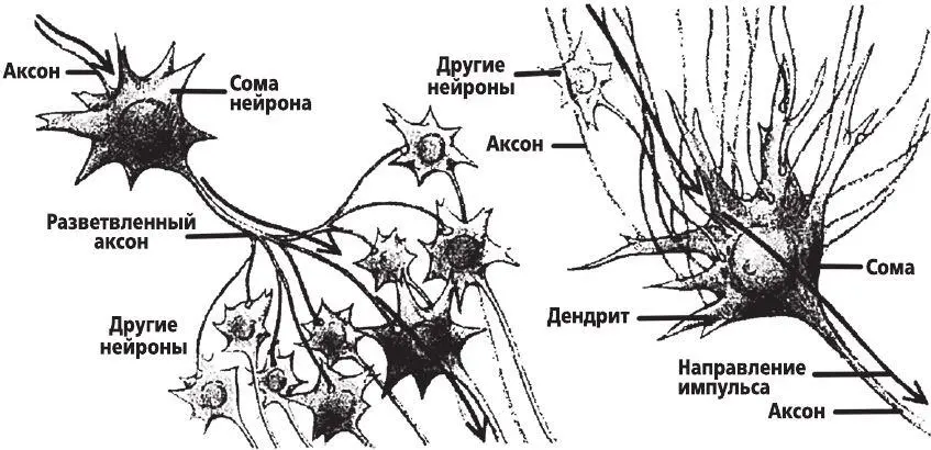 Рис 11 Если вы посмотрите на рисунок 11 вы заметите что изображенный на - фото 1