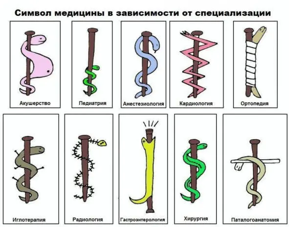 неофициальный герб Питера это офиц герб СЕптербурга два якоря вставленный - фото 1