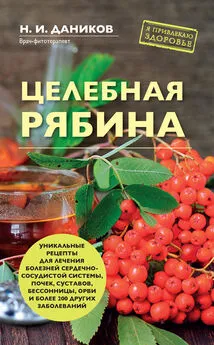 Николай Даников - Целебная рябина