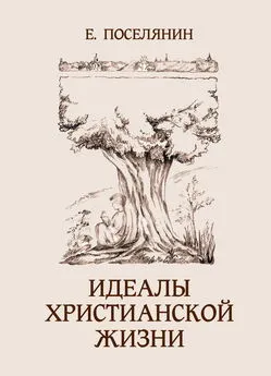 Евгений Поселянин - Идеалы христианской жизни