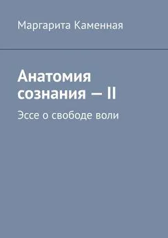 Маргарита Каменная - Анатомия сознания – II. Эссе о свободе воли