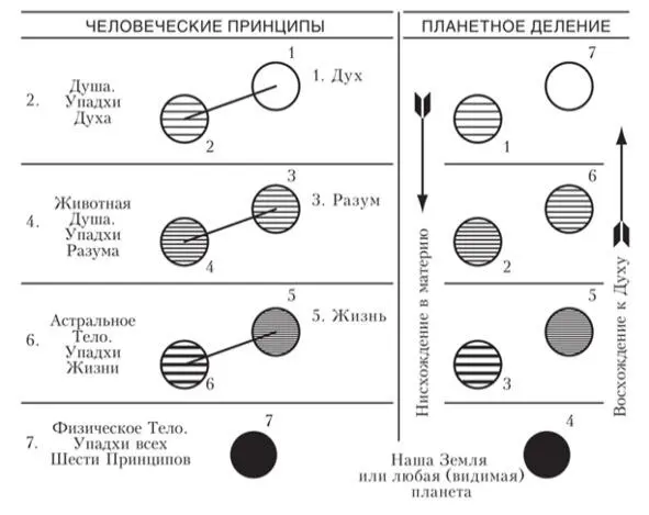 Эзотерическое учение утверждает что астральные прообразы нынешних - фото 4