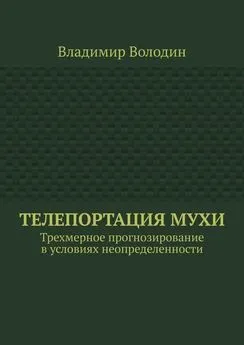 Владимир Володин - Телепортация Мухи. Трехмерное прогнозирование в условиях неопределенности