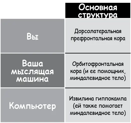 Эти трое обращаются за помощью и ко многим другим частям мозга Некоторые части - фото 8