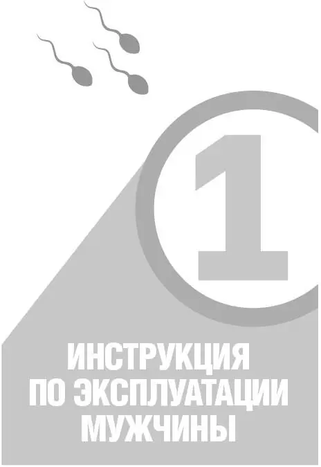 Глава 1 Женщины с Венеры мужчины с Марса I Немало работ написано о разнице - фото 3