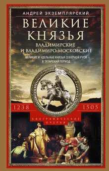 Андрей Экземплярский - Великие князья Владимирские и Владимиро-Московские. Великие и удельные князья Северной Руси в татарский период с 1238 по 1505 г.