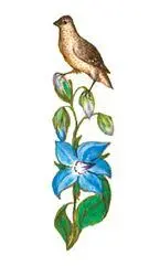 2 ЭТО НЕ ТОЛКОВАНИЯ ТАРО В Splendor Solis 22 иллюстрации как и карт в Таро - фото 7