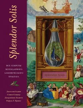 Рафаль Т. Принке - Splendor Solis. Все секреты легендарного алхимического трактата