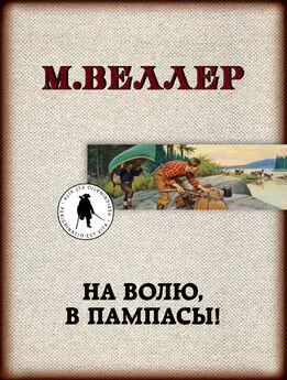 Михаил Веллер - На волю, в пампасы!