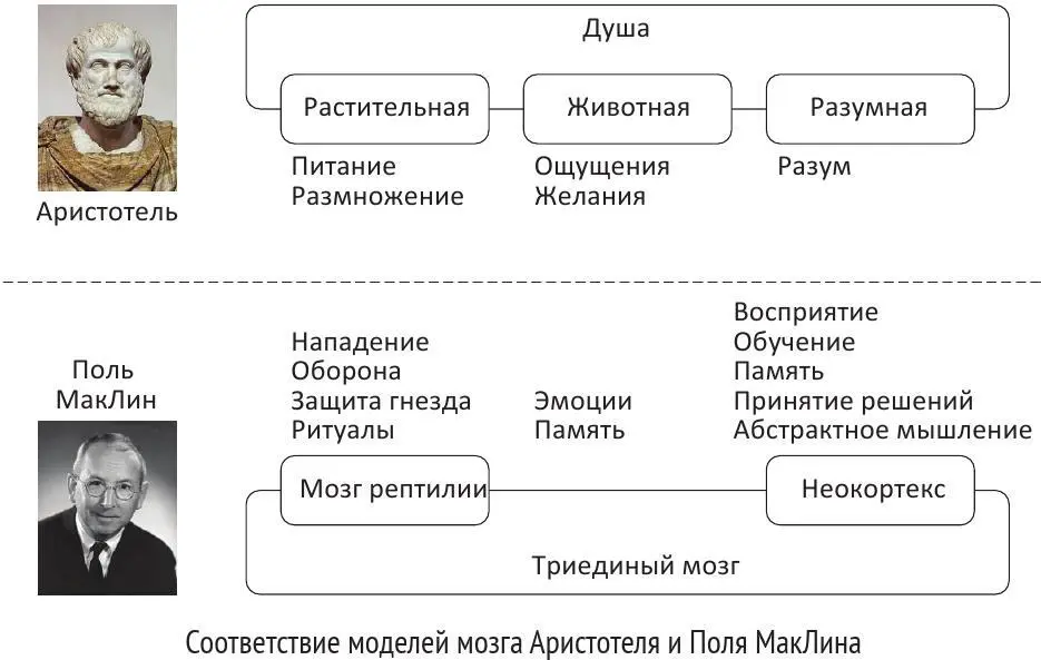 Другими словами только лишь по внешним наблюдениям и при помощи спекулятивных - фото 2