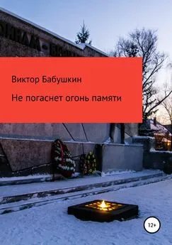 Виктор Бабушкин - Не погаснет огонь Памяти