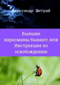 Александр Шитрай - Бывшие наркоманы бывают, или Инструкция по освобождению