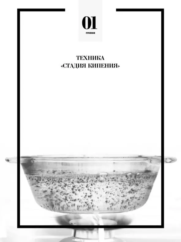 Пример одного из лучших ораторских выступлений в истории современности - фото 4