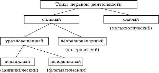 Рис 2 Связь темперамента с типом высшей нервной деятельности Подвижность - фото 2