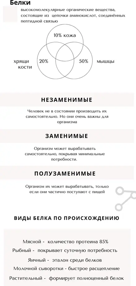 Функции белков в организме 1 пластическая протеины составляют 1520 сырой - фото 4