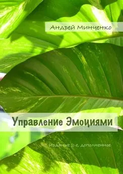 Андрей Минченко - Управление эмоциями. Издание 2-е, дополненное