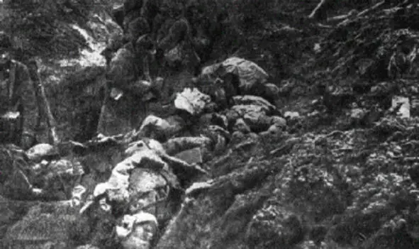 Издержки войны убитые французские солдаты на передовой в районе Вердена - фото 1