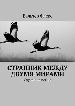 Вальтер Флекс - Странник между двумя мирами. Случай на войне