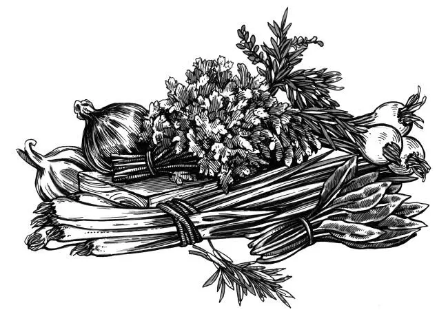 Базилик камфорный Пряное ароматическое и лекарственное растение Базилик - фото 1