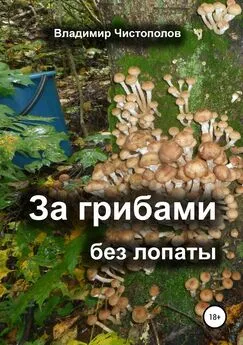 Владимир Чистополов - За грибами без лопаты