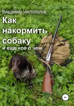 Владимир Чистополов - Как накормить собаку и еще кое о чем