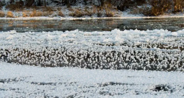 Рис 9 Шуга на реке и цветы инея на молодом льду Рис 10 Кисти рябины в - фото 9