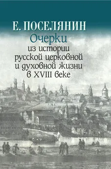 Евгений Поселянин - Очерки из истории русской церковной и духовной жизни в XVIII веке