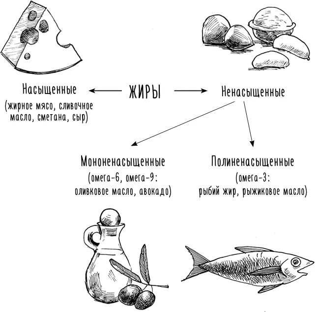 EPA и DHA омега3 жирные кислоты содержатся в льняном и рыжиковом маслах - фото 21