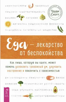 Труди Скотт - Еда – лекарство от беспокойства. Как пища, которую вы едите, может помочь успокоить тревожный ум