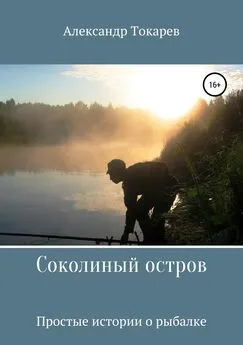 Александр Токарев - Соколиный остров