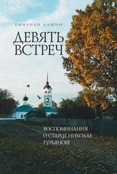 Емилиан Лашин - Девять встреч. Воспоминания о старце Николае Гурьянове