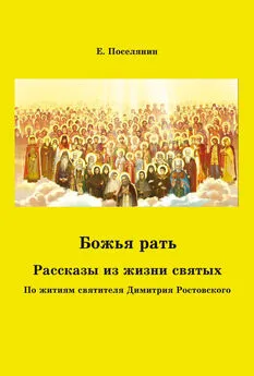 Евгений Поселянин - Божья рать. Рассказы из жизни святых