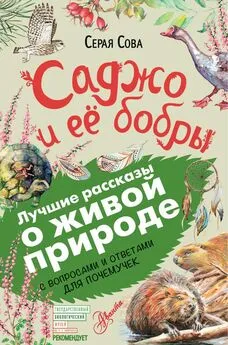 Серая Сова - Саджо и ее бобры. С вопросами и ответами для почемучек