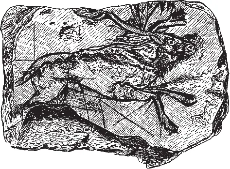 Рис 1 Наскальный рисунок скачущего оленя Каменный век Люди эпохи неолита - фото 1