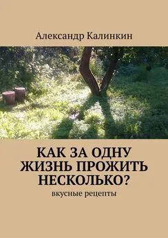 Александр Калинкин - Как за одну жизнь прожить несколько? Вкусные рецепты