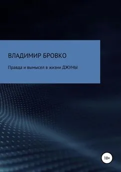 Владимир Бровко - Правда и вымысел в жизни ДЖУНЫ