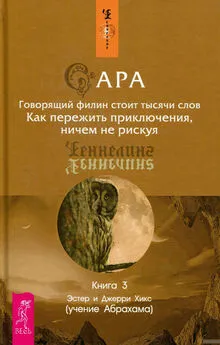 Джерри Хикс - Сара. Книга 3. Говорящий филин стоит тысячи слов. Как пережить приключения, ничем не рискуя