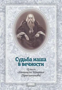 Святитель Игнатий (Брянчанинов) - Судьба наша в вечности. Из писем святителя Игнатия (Брянчанинова)