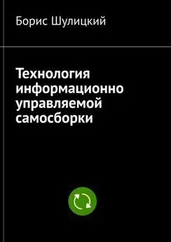 Борис Шулицкий - Технология информационно-управляемой самосборки