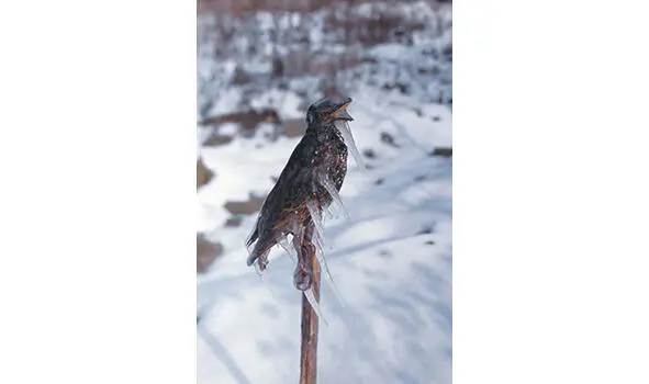Входя в личный постмодерн испытываешь беспокойное колебание между - фото 2