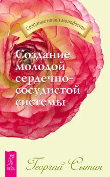 Георгий Сытин - Создание молодой сердечно-сосудистой системы