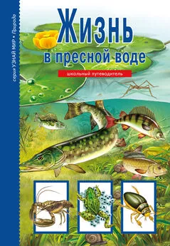 Сергей Афонькин - Жизнь в пресной воде