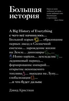 Дэвид Кристиан - Большая история